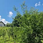 Dom wakacyjny Jednorodzinny Całoroczny
